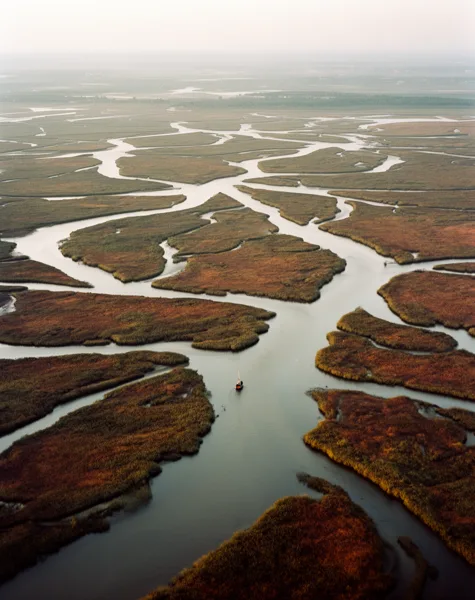 Aerial view of wetlands with serpentine waterways and lush vegetation under soft natural light.