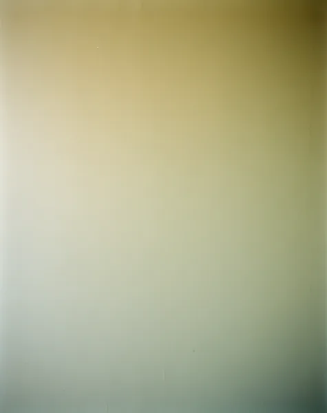 A gradient wall background transitioning from light beige to soft green with visible texture under even natural lighting.