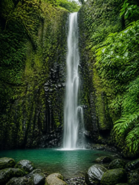 A tall waterfall flowing into a turquoise pool, surrounded by lush green foliage and moss-covered cliffs, in soft natural light.