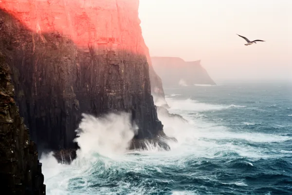 Dramatic cliffs meeting ocean waves at sunset with a bird soaring in the sky, under warm reddish light.