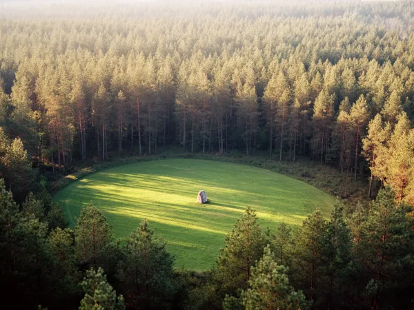 Aerial view of a circular meadow with a rock in the center, surrounded by a dense pine forest under soft sunlight.