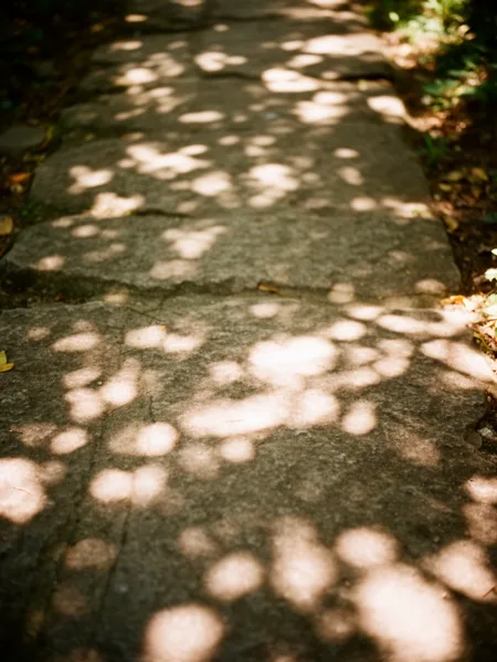 Stone pathway with dappled sunlight creating patterns of light and shadow, surrounded by greenery, in soft focus.