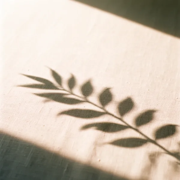 Shadow of a leafy branch on a textured fabric surface with soft lighting.