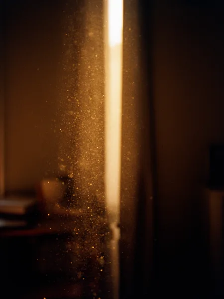 Dust particles illuminated by a sunbeam in a dimly lit room with a blurred background.